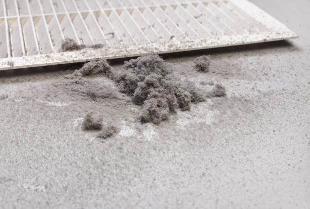 Best Home Air Vent Cleaning  in Fritch, TX